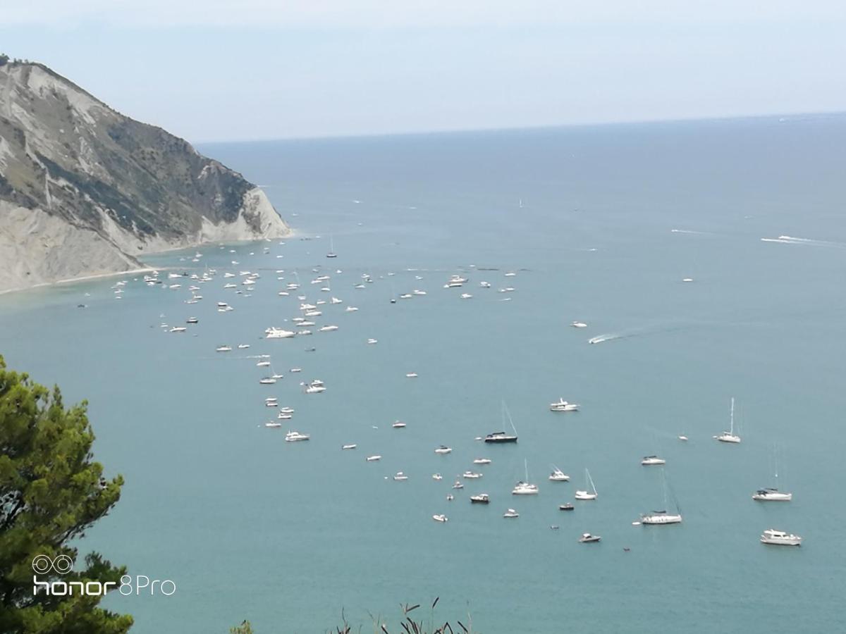 Casa Viorica 2 Guest house Ancona